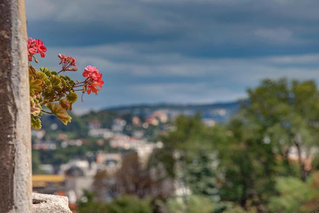 Appartamento Mansarda Al Castello